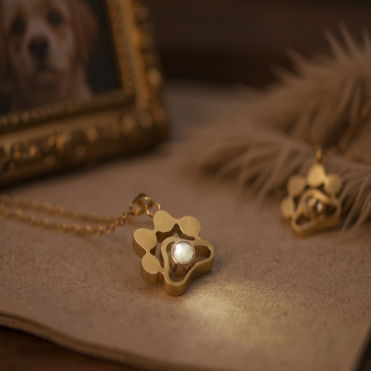 pfoten-halskette-in-gold-mit-foto-projektion-als-geschenk-fuer-haustierbesitzer